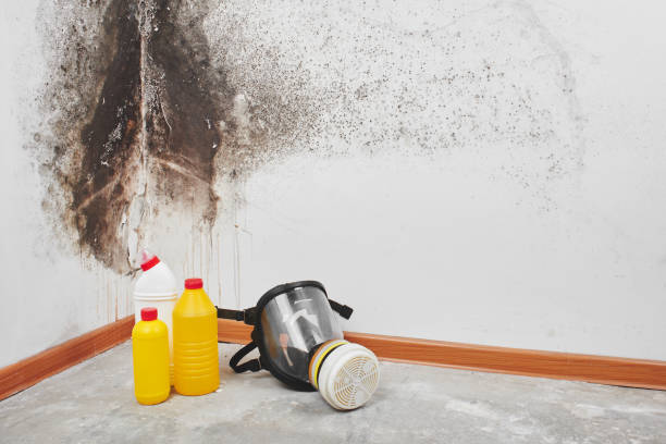 Crawl Space Mold Removal in Albany, IN