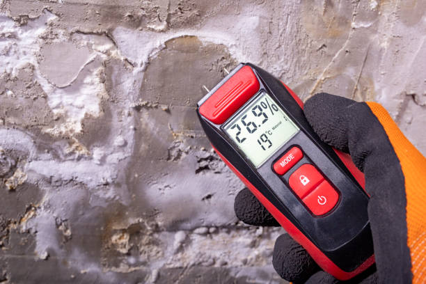 Best Mold Cleaning Services  in Albany, IN
