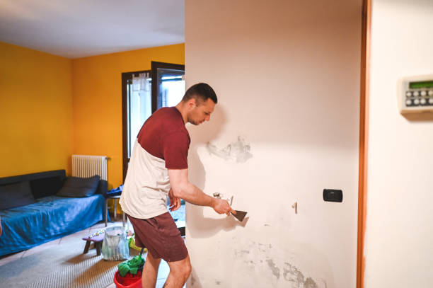 Best Mold Remediation Services  in Albany, IN